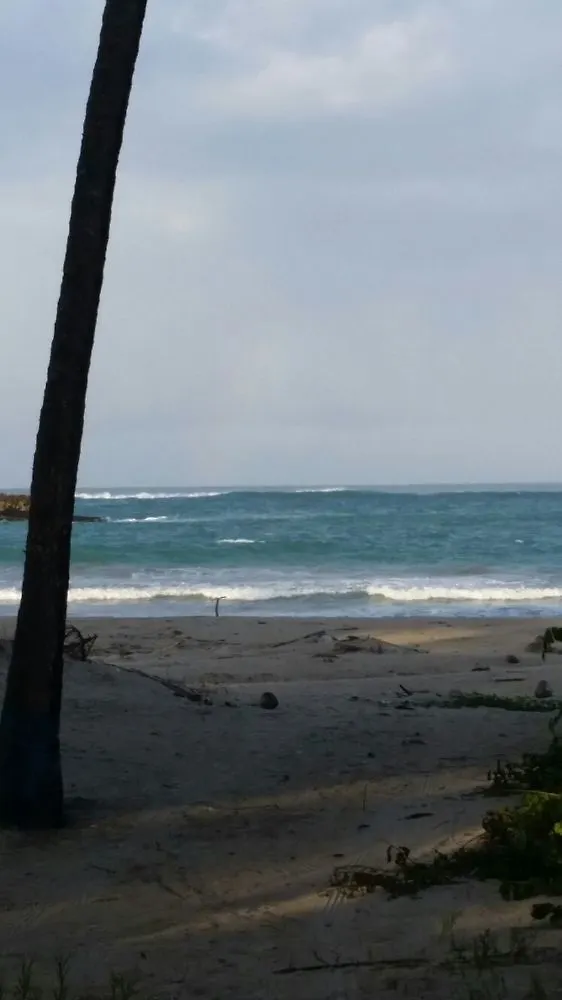 Dorado Centrally Located Guest House Hotell