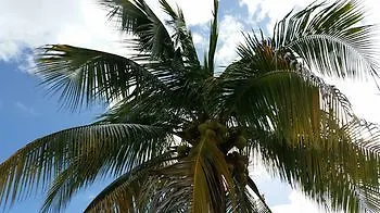 Dorado Centrally Located Guest House Porto Rico