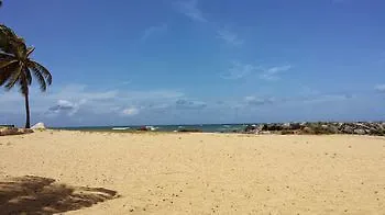 Dorado Centrally Located Guest House
