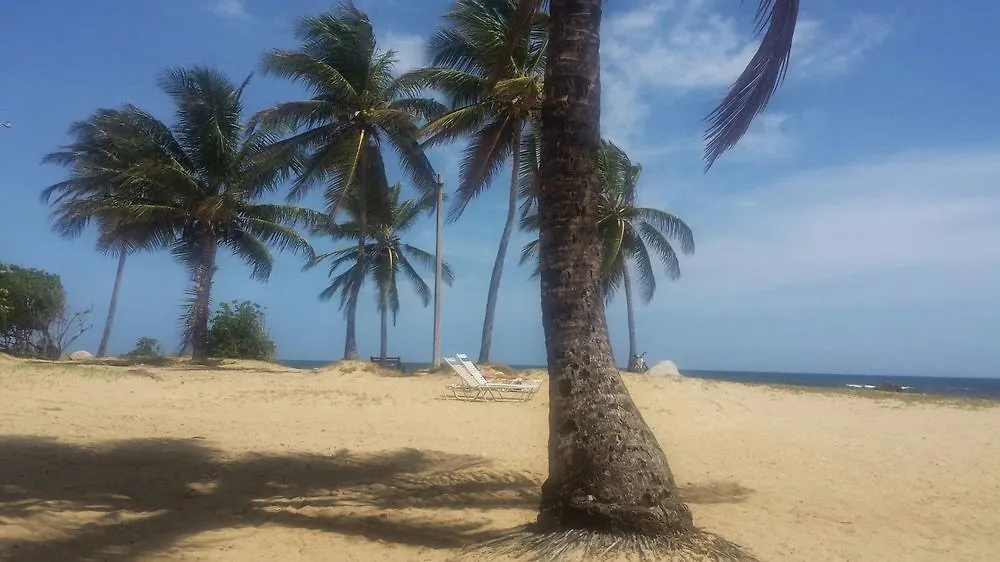*** Hotel Dorado Centrally Located Guest House Porto Rico