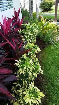 Dorado Centrally Located Guest House Porto Rico
